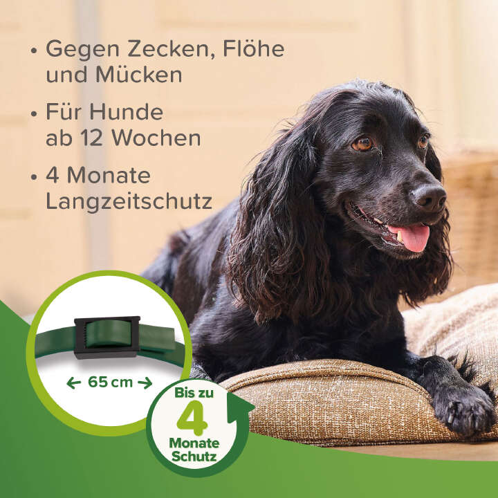 beaphar Zecken- und Flohschutz Halsband für Hunde